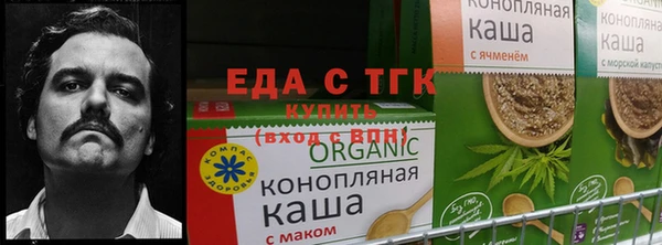 гашик Горно-Алтайск