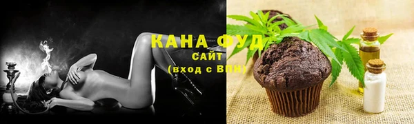 молекула духа Горняк