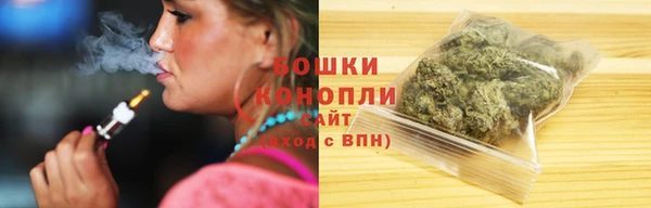 молекула духа Горняк